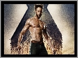 Hugh Jackman, X Men